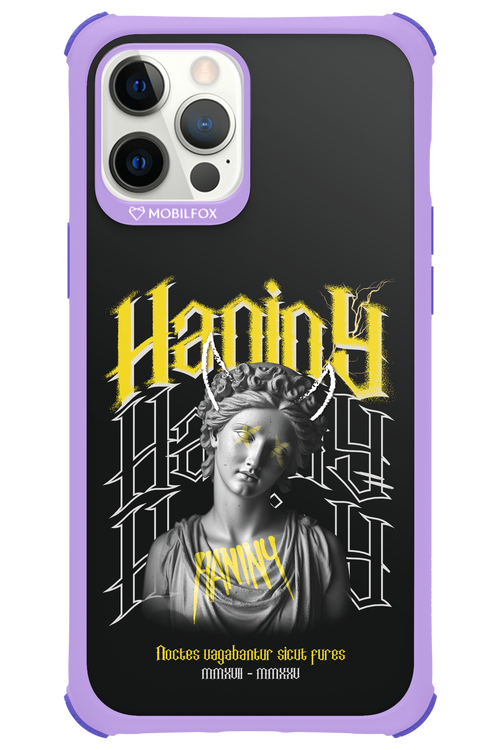 Haniny Icon (black) - Apple iPhone 12 Pro Max