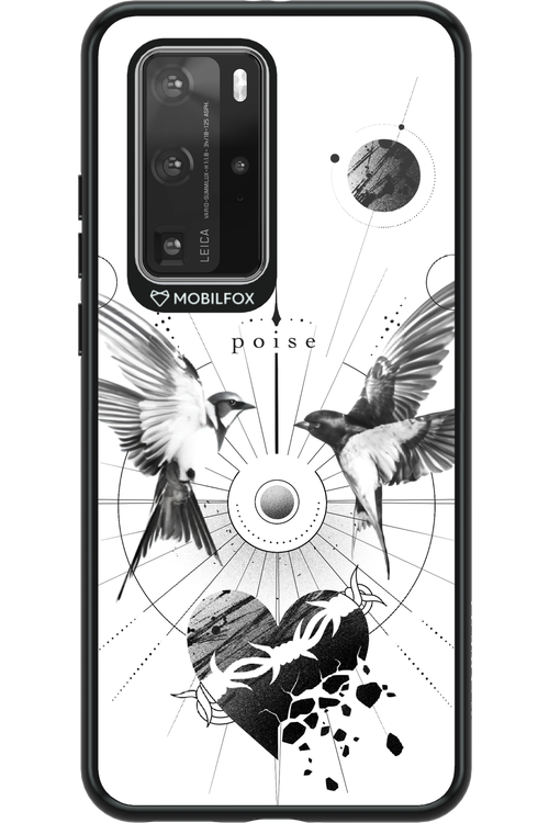 Madár - Huawei P40 Pro