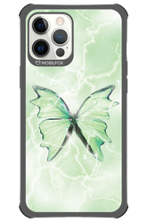 Amnesia - Apple iPhone 12 Pro Max