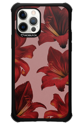 Amaryllis Mist - Apple iPhone 12 Pro
