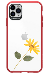 Pressed Flower - Apple iPhone 11 Pro Max