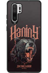 Bear Attack - Huawei P30 Pro