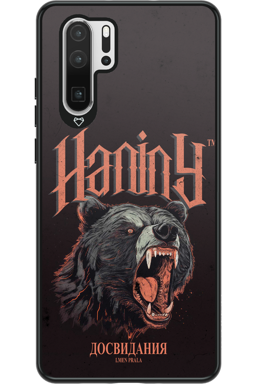 Bear Attack - Huawei P30 Pro