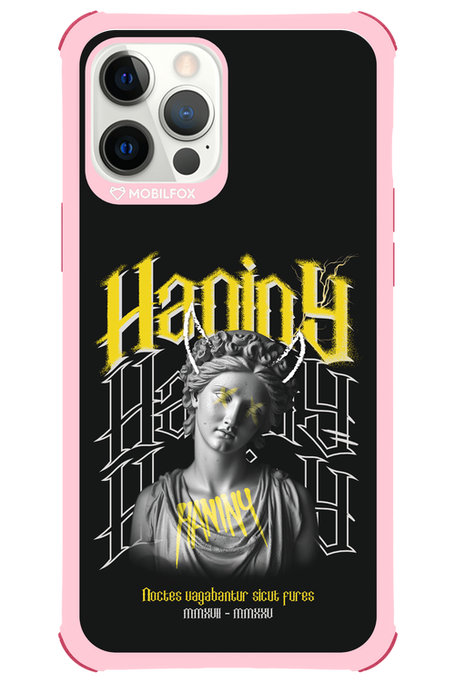 Haniny Icon (black) - Apple iPhone 12 Pro Max