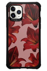 Amaryllis Mist - Apple iPhone 11 Pro
