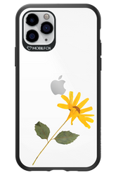 Pressed Flower - Apple iPhone 11 Pro