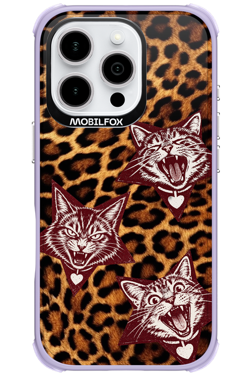 Cats and Chaos 2.0 - Apple iPhone 16 Pro