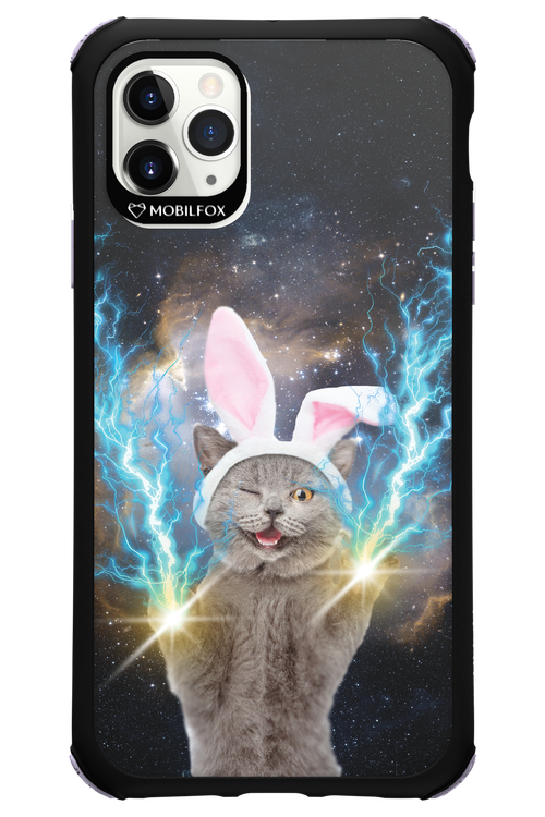 Destroy Cat - Apple iPhone 11 Pro Max