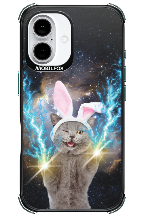 Destroy Cat - Apple iPhone 16