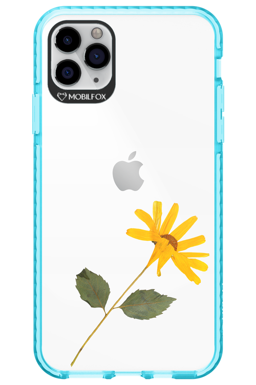 Pressed Flower - Apple iPhone 11 Pro Max