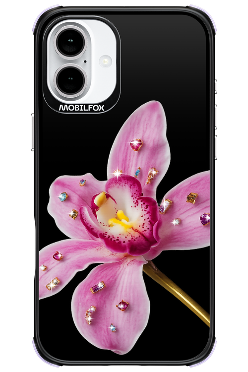 Pink Hibiscus 2.0 - Apple iPhone 16 Plus