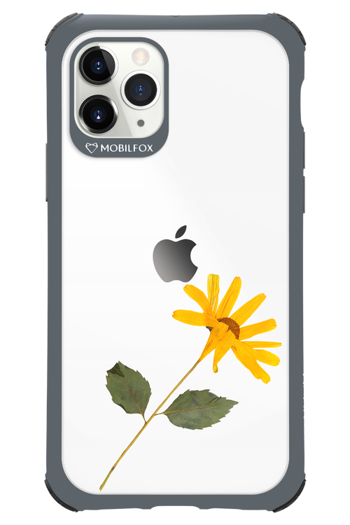 Pressed Flower - Apple iPhone 11 Pro