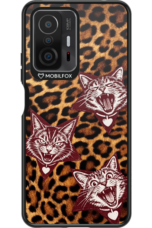 Cats and Chaos 2.0 - Xiaomi Mi 11T Pro