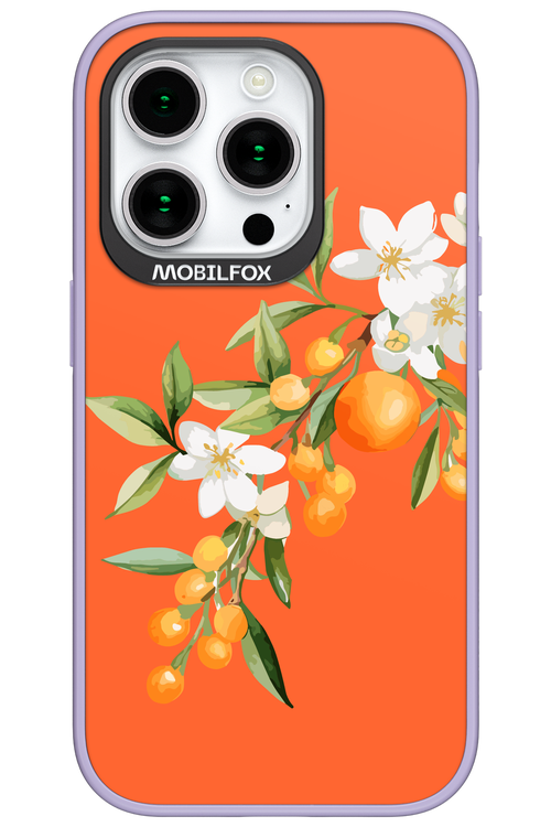 Amalfi Oranges - Apple iPhone 15 Pro