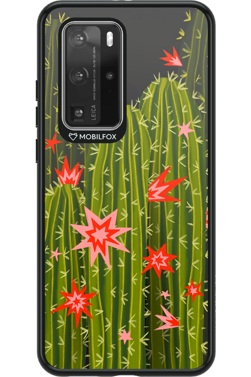 Cactus bloom 2.0 - Huawei P40 Pro
