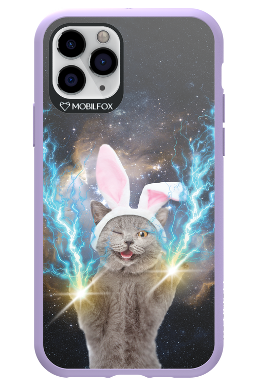 Destroy Cat - Apple iPhone 11 Pro