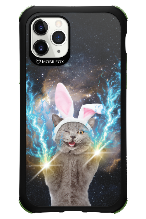 Destroy Cat - Apple iPhone 11 Pro