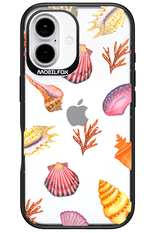 Sea Shells - Apple iPhone 16