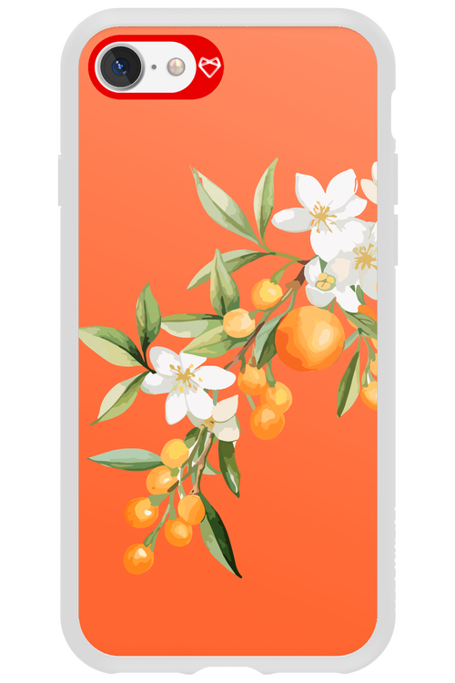 Amalfi Oranges - Apple iPhone 7