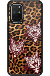 Cats and Chaos 2.0 - OnePlus 8T
