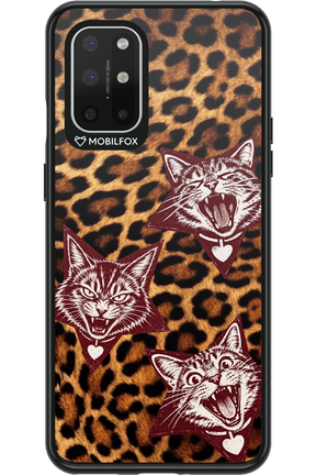 Cats and Chaos 2.0 - OnePlus 8T