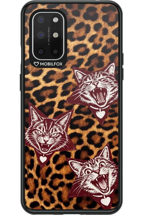 Cats and Chaos 2.0 - OnePlus 8T