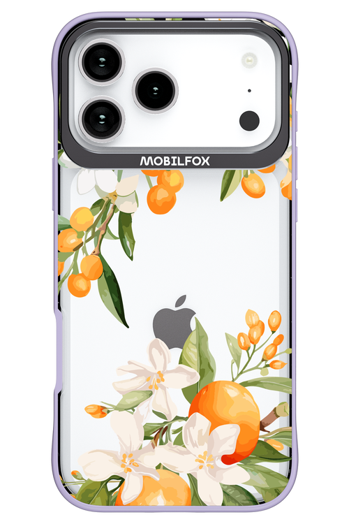 Amalfi Orange - Apple iPhone 17 Pro Max