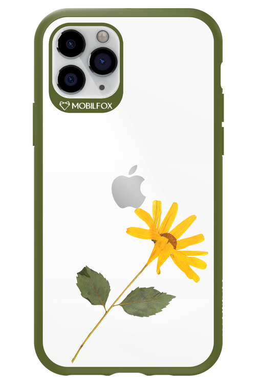 Pressed Flower - Apple iPhone 11 Pro
