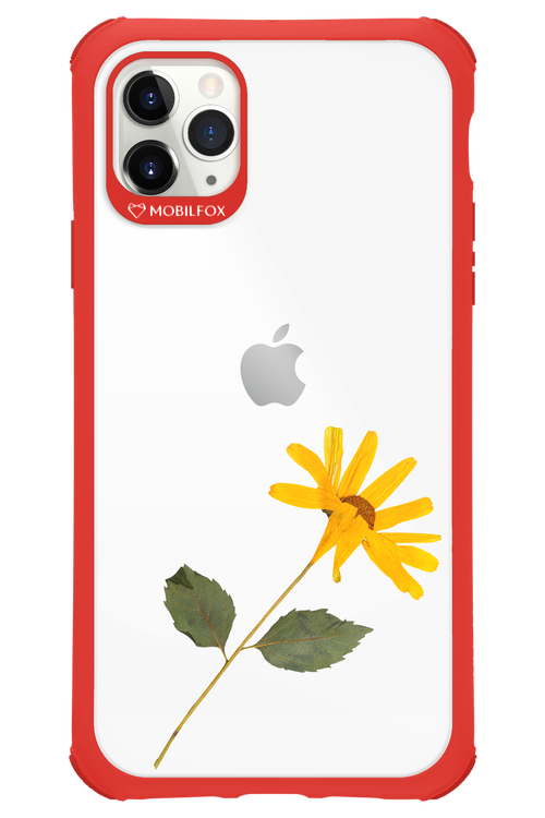 Pressed Flower - Apple iPhone 11 Pro Max