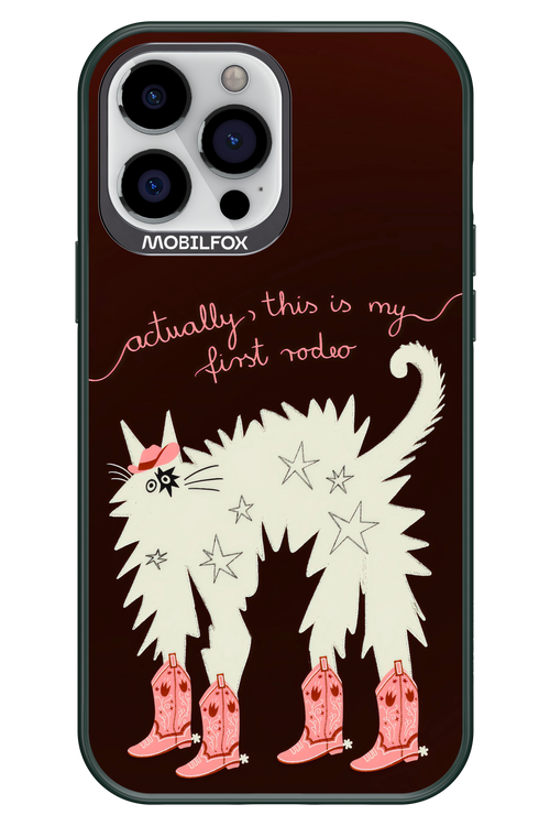 First rodeo 2.0 - Apple iPhone 13 Pro Max