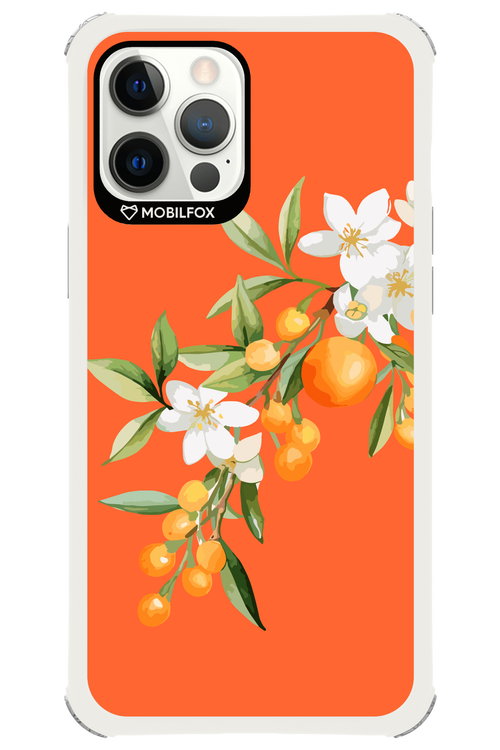 Amalfi Oranges - Apple iPhone 12 Pro Max