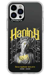 Haniny Icon (black) - Apple iPhone 12 Pro