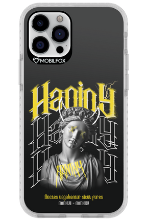 Haniny Icon (black) - Apple iPhone 12 Pro