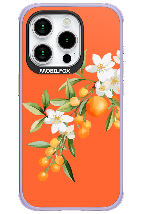 Amalfi Oranges - Apple iPhone 15 Pro