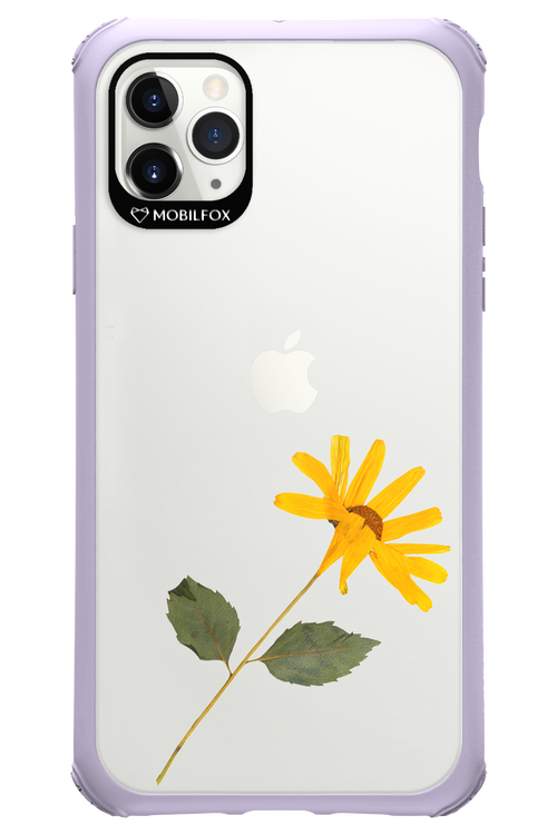 Pressed Flower - Apple iPhone 11 Pro Max