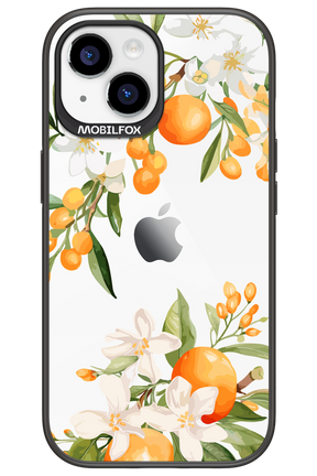 Amalfi Orange - Apple iPhone 15