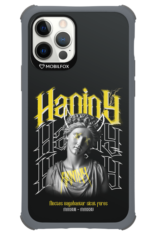 Haniny Icon (black) - Apple iPhone 12 Pro