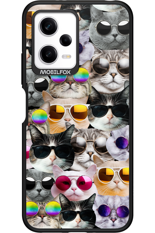 Cat World - Xiaomi Redmi Note 12 5G