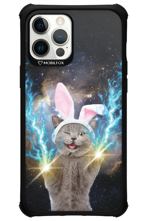 Destroy Cat - Apple iPhone 12 Pro Max