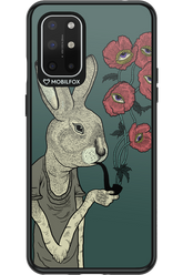 Bunny - OnePlus 8T