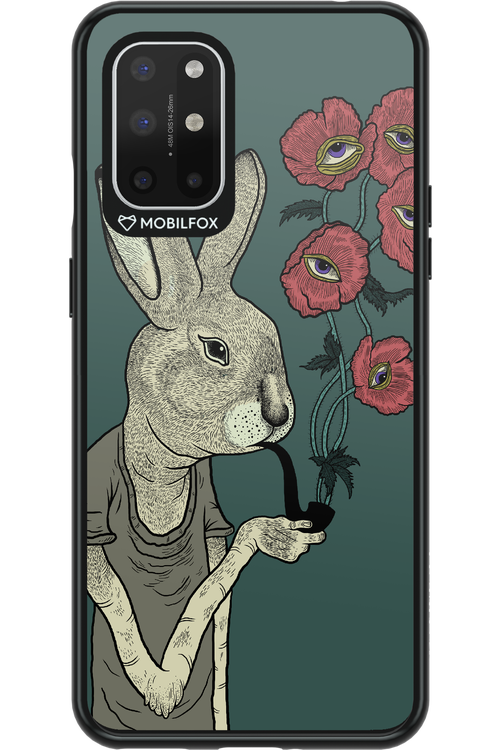 Bunny - OnePlus 8T