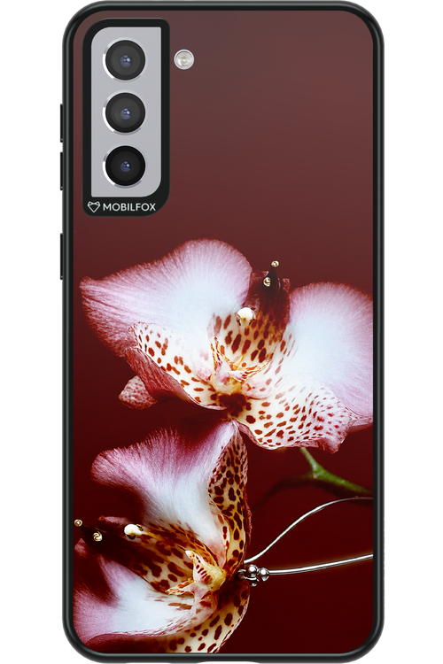 Leobloomy 2.0 - Samsung Galaxy S21+