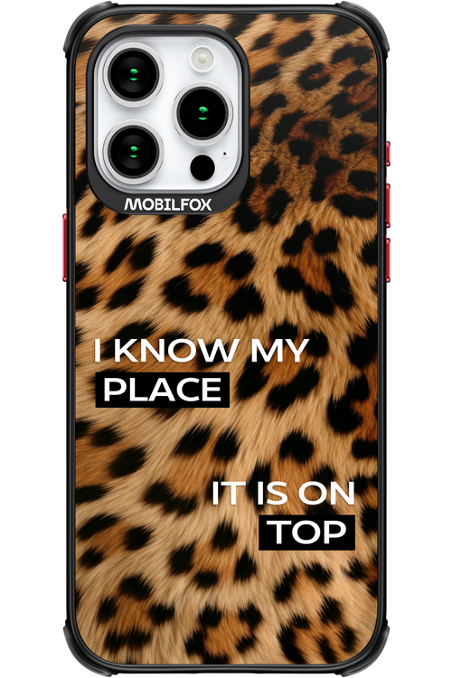 My Place - Apple iPhone 15 Pro Max