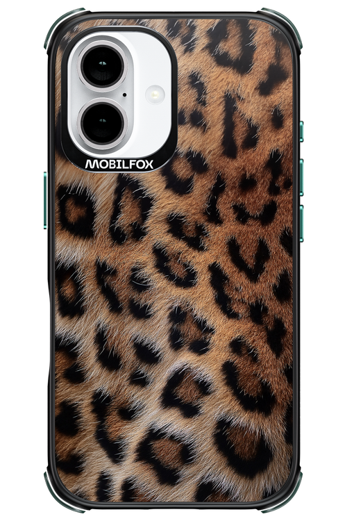 Furr Babe - Apple iPhone 16