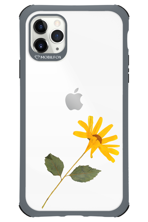 Pressed Flower - Apple iPhone 11 Pro Max