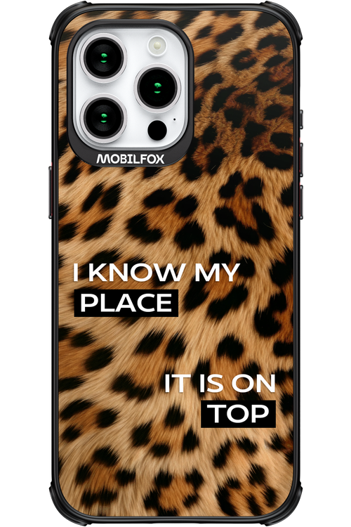 My Place - Apple iPhone 15 Pro Max
