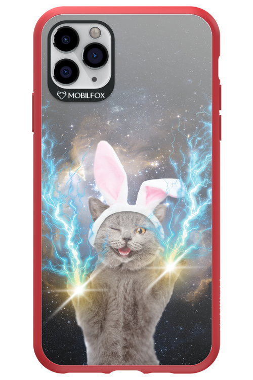 Destroy Cat - Apple iPhone 11 Pro Max