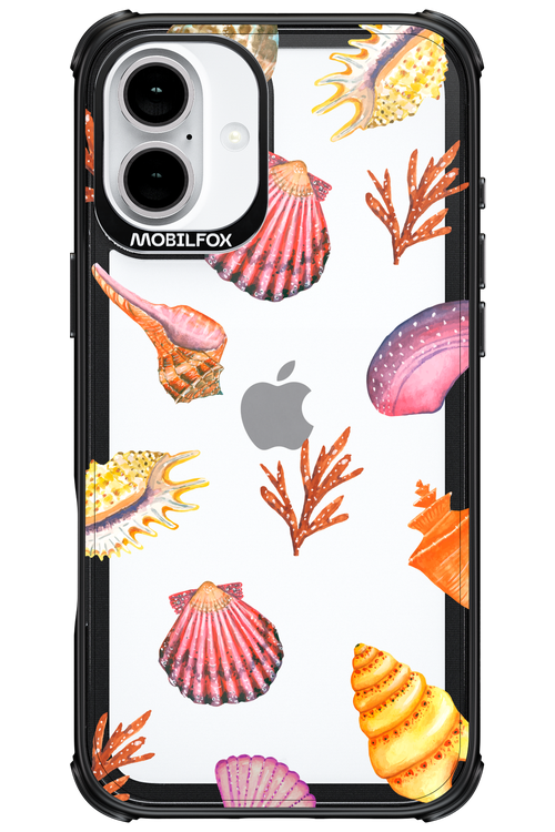 Sea Shells - Apple iPhone 16 Plus