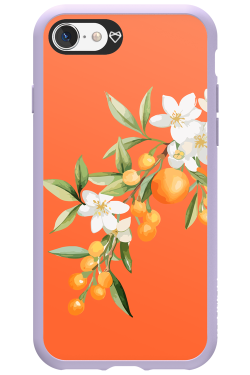 Amalfi Oranges - Apple iPhone 8