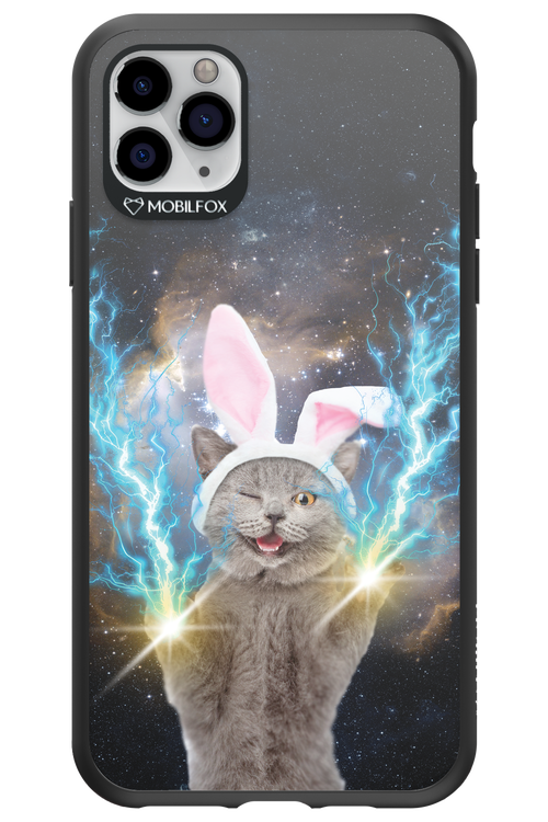 Destroy Cat - Apple iPhone 11 Pro Max